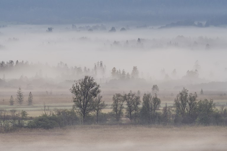 Bäck, Nele, Landschaft. Staffelung im Nebel, Fotografie, Portfolio, Jg11, 2022
