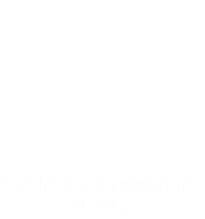 sgm_logo_Schrift zentriert bottom_weiss.png