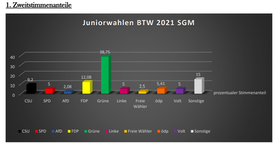 Wahlergebnis 1.png